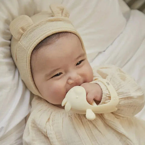 TGM|白金矽膠手腕穿握型牙膠連收納盒 - Breastpump City 奶泵城母乳用品專門店