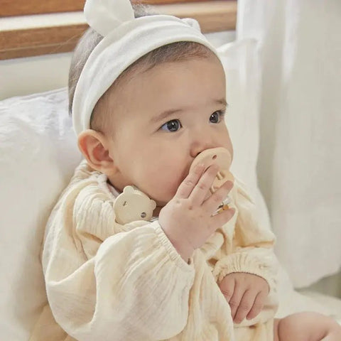 Tgm|Teddy 全矽膠嬰兒安撫奶嘴連收納盒|兩個裝 - Breastpump City 奶泵城母乳用品專門店
