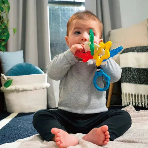 Baby Einstein｜Sea Of Sensory 牙膠玩具 - Breastpump City