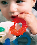 Baby Einstein｜Sea Of Sensory 牙膠玩具 - Breastpump City