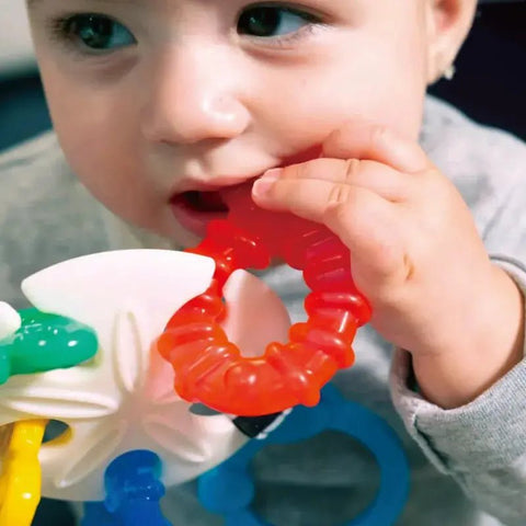 Baby Einstein｜Sea Of Sensory 牙膠玩具 - Breastpump City