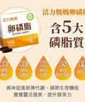 活力媽媽｜ 卵磷脂膠囊｜孕婦哺乳推薦｜高單位非基改 - Breastpump City
